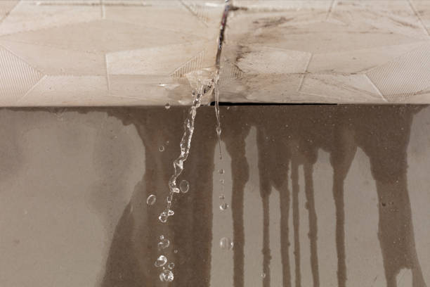 Professional Water Extraction technician working in Rush, CO